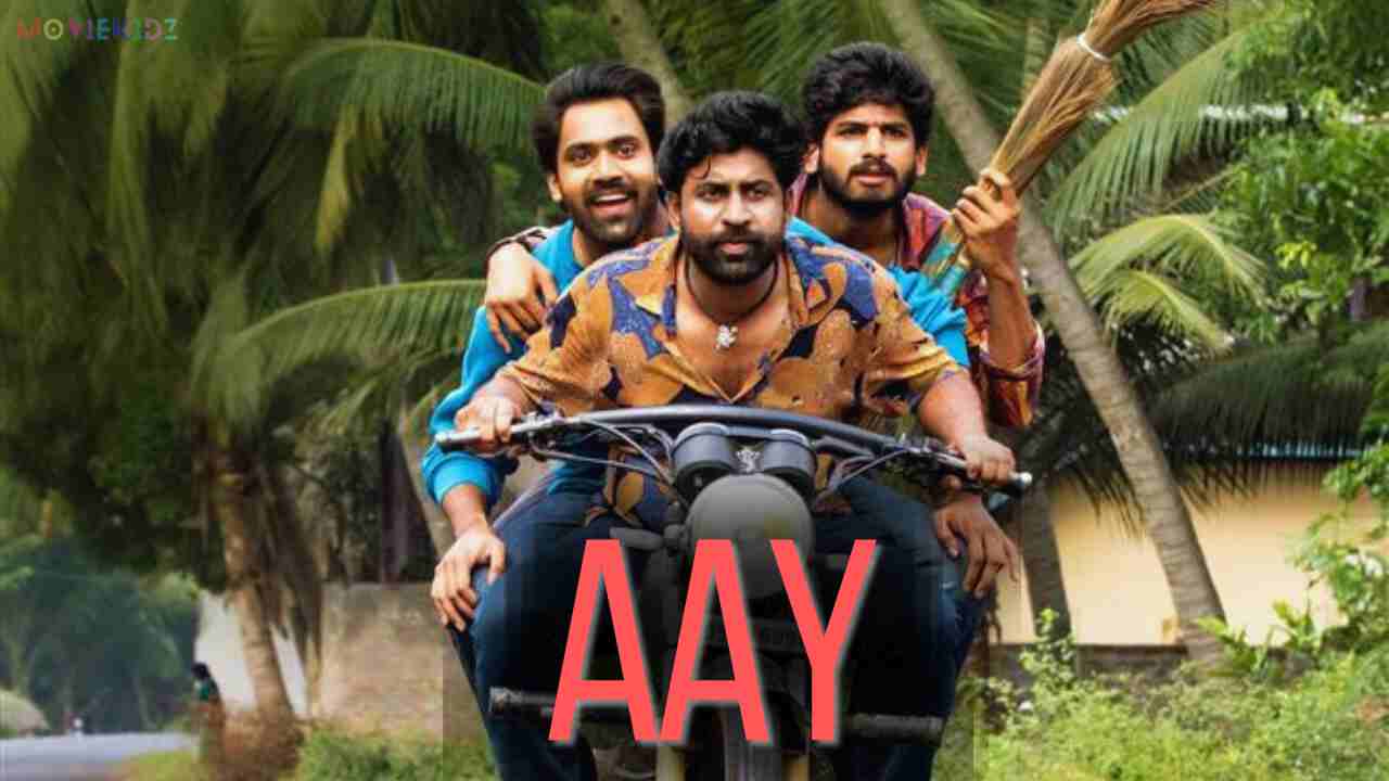 Aay Movie: OTT Release Date, Collection, Story, and Review